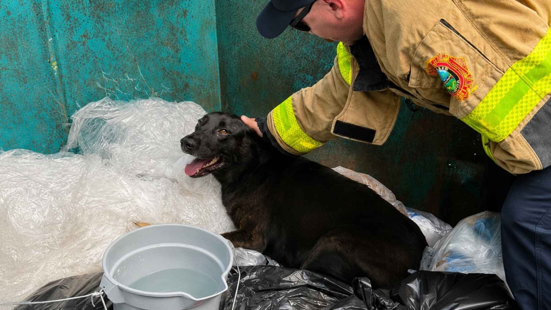 Miami-Dade firefighter comforting Jack after finding the black dog inside a dumpster.