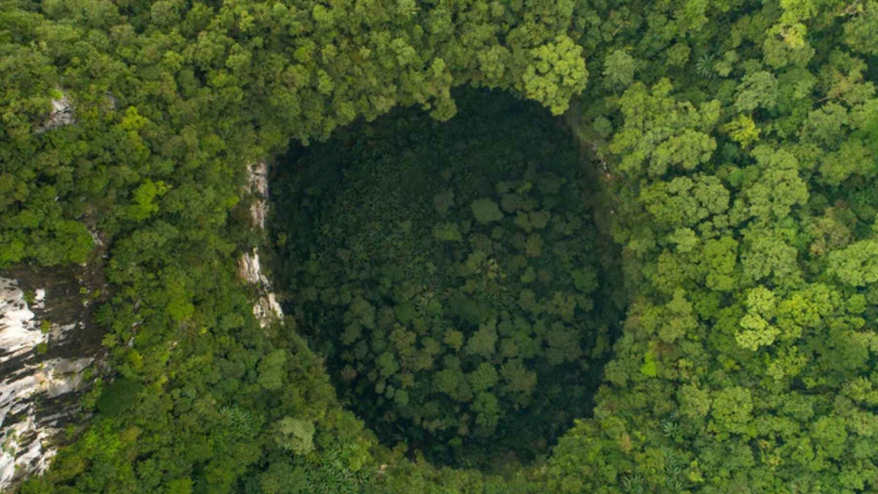 Aerial view of a forest-filled doline at Hang Son Doong cave in Vietnam