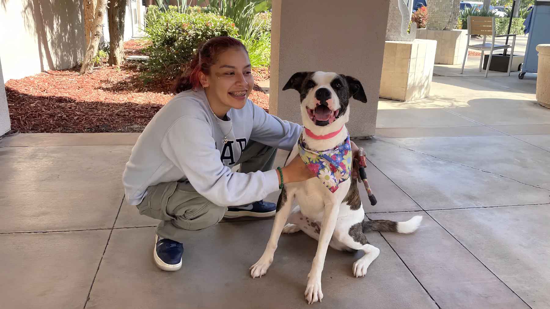 Haze reunited with her owner Ana after nearly a year apart in San Diego.