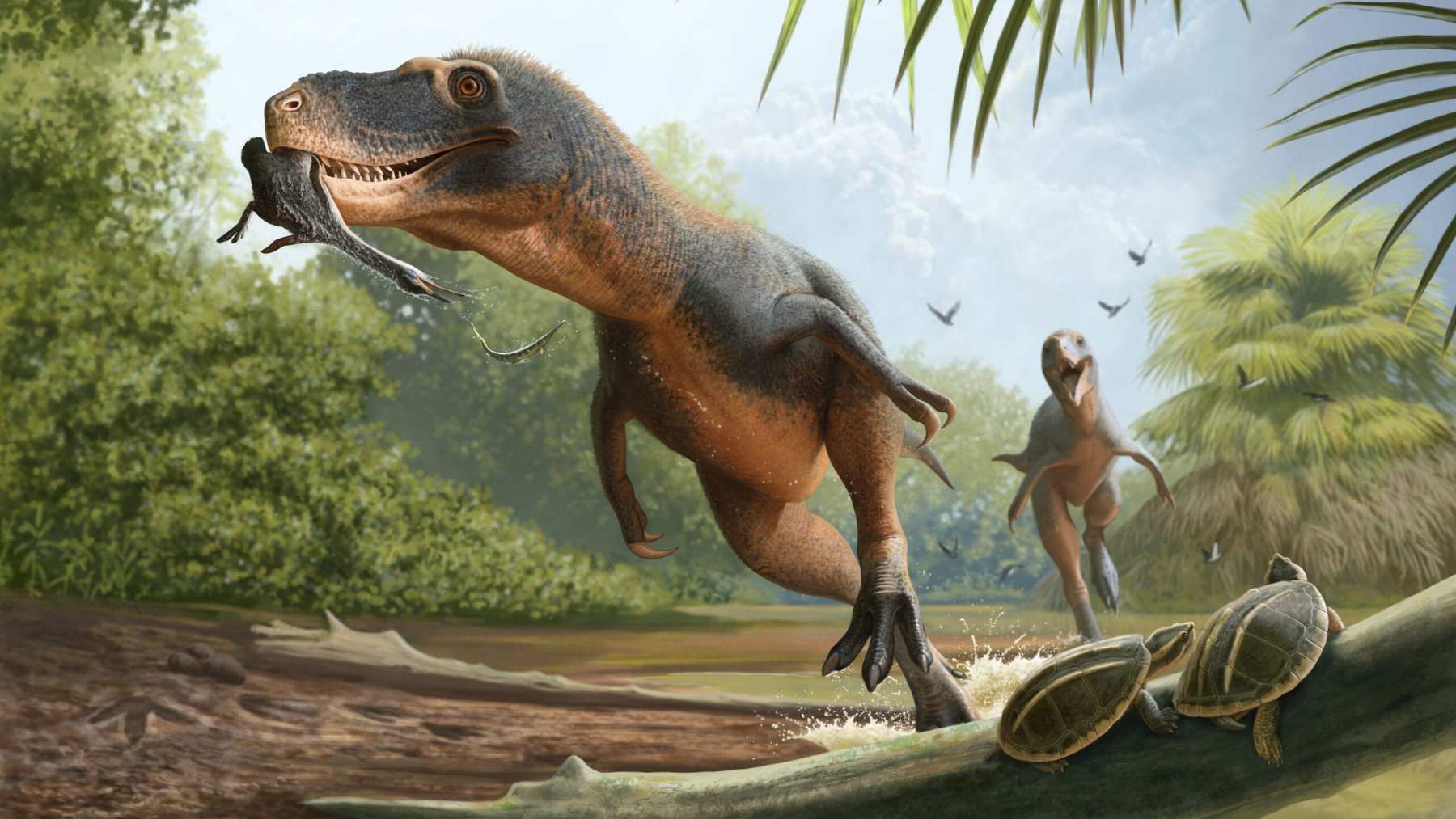 Illustration of a predatory dinosaur hunting a diving bird