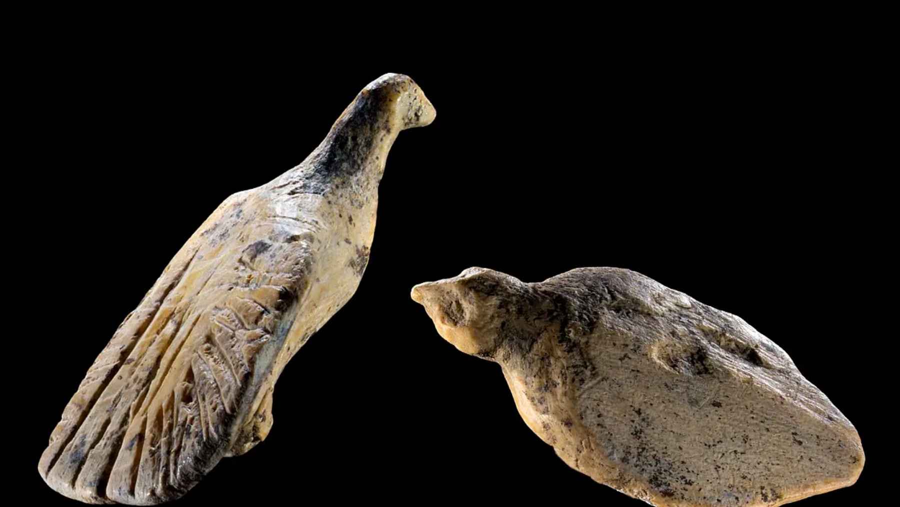 Two 40,000-year-old bird figurines carved from mammoth ivory and discovered in Hohle Fels Cave in Germany.