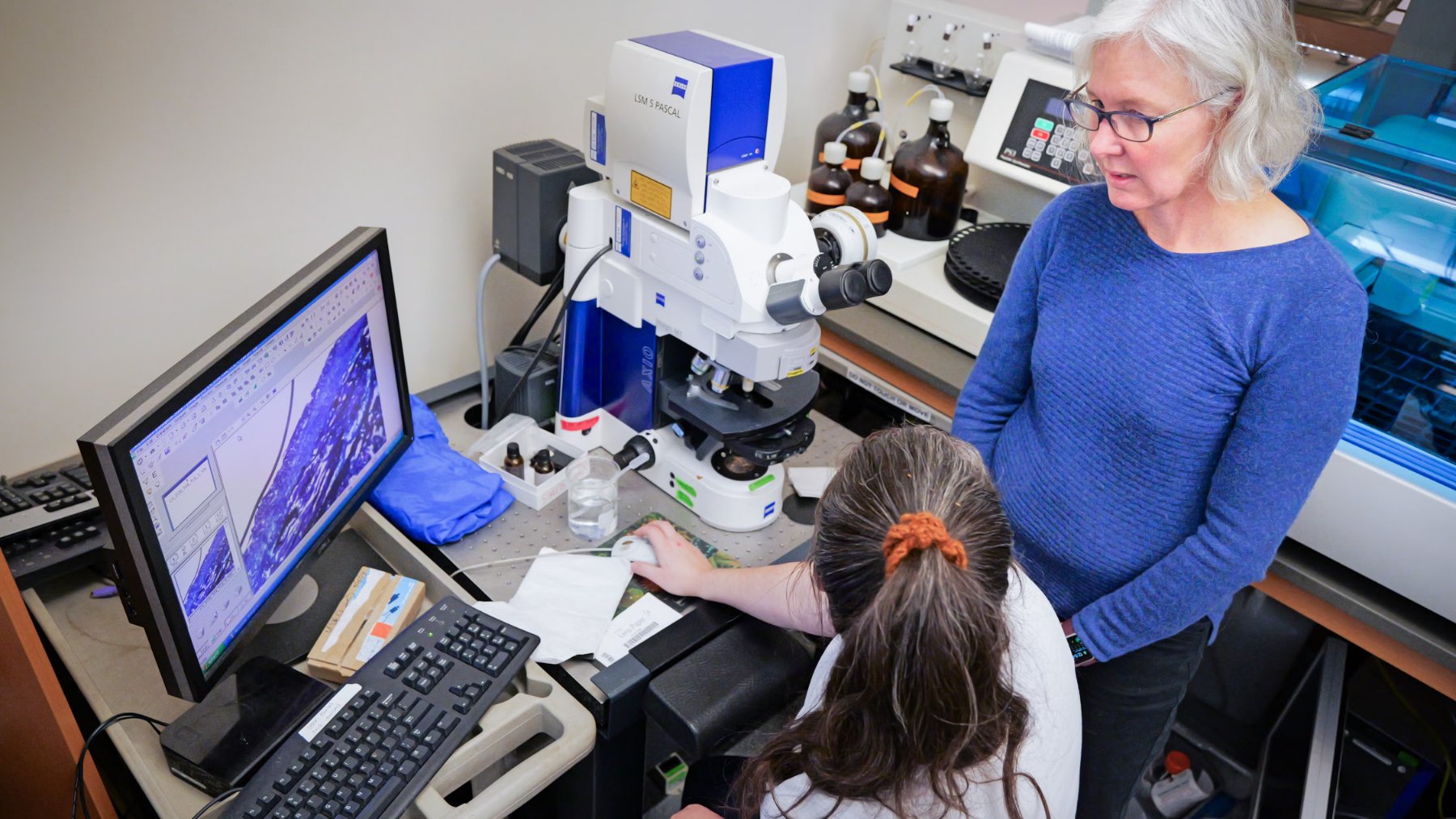 Researchers examining joint tissue samples under a microscope in a CU Boulder laboratory