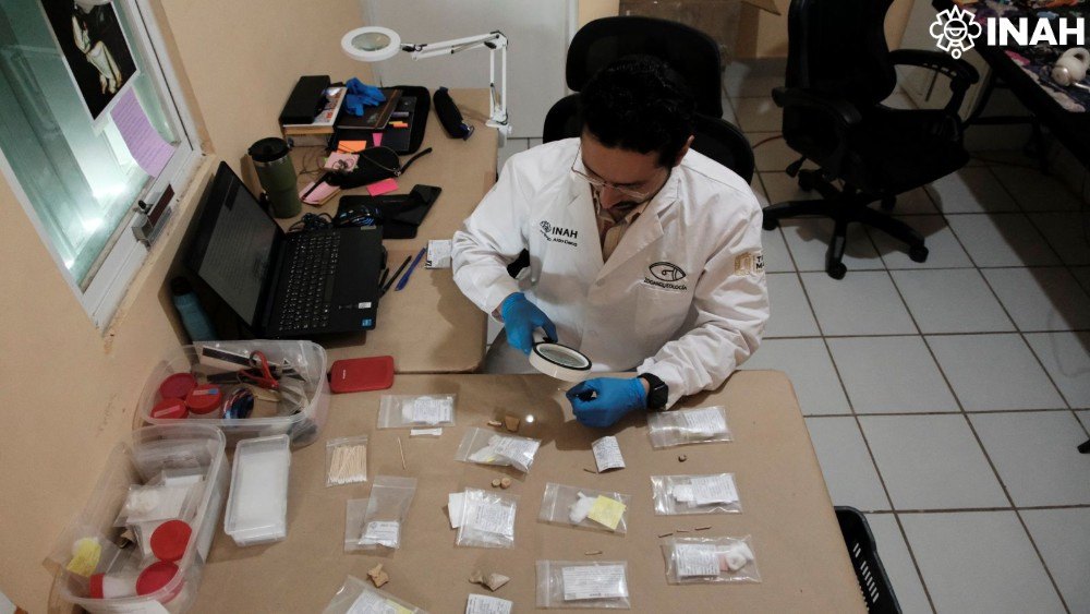 Specialists examining animal remains recovered during rescue excavations on the Maya Train route