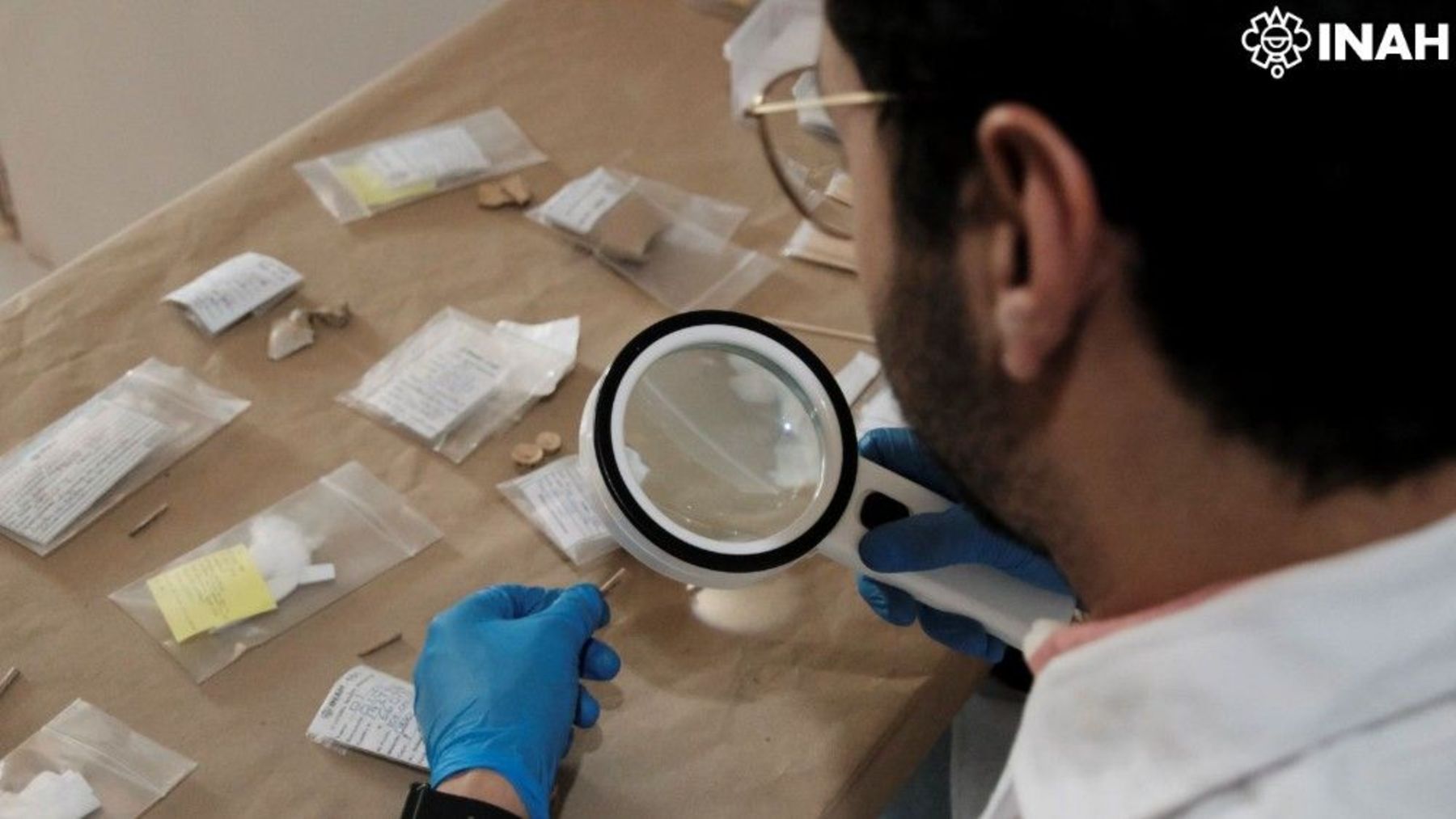 Researcher examining ray barb fragments with a magnifying glass