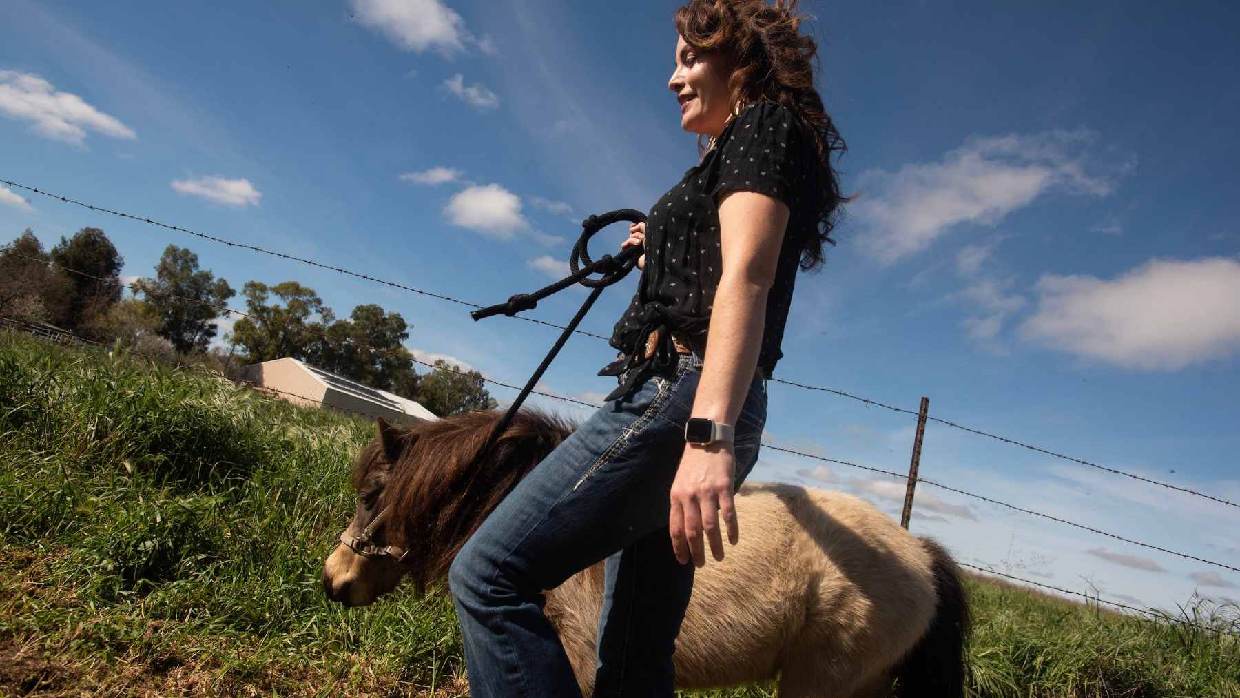 Researcher with a miniature horse outdoors