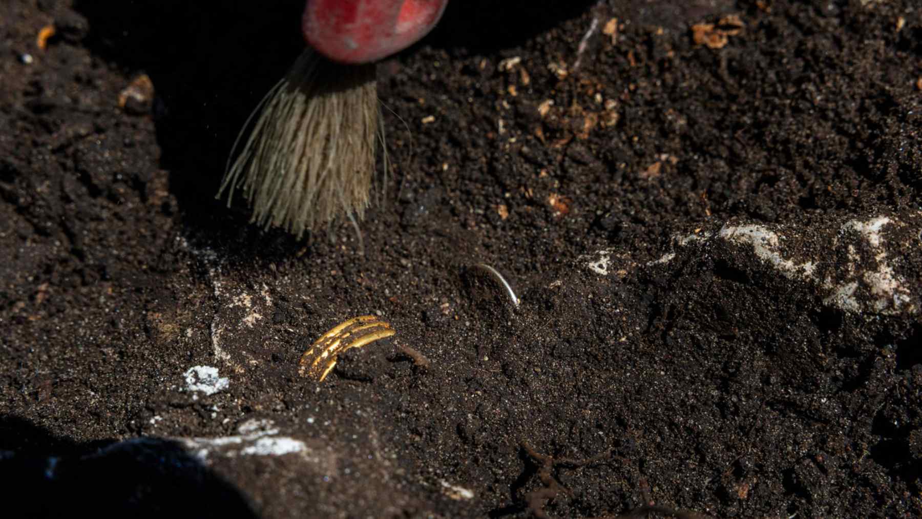 Archaeologist uncovering a Roman silver coin in the soil on Gotland