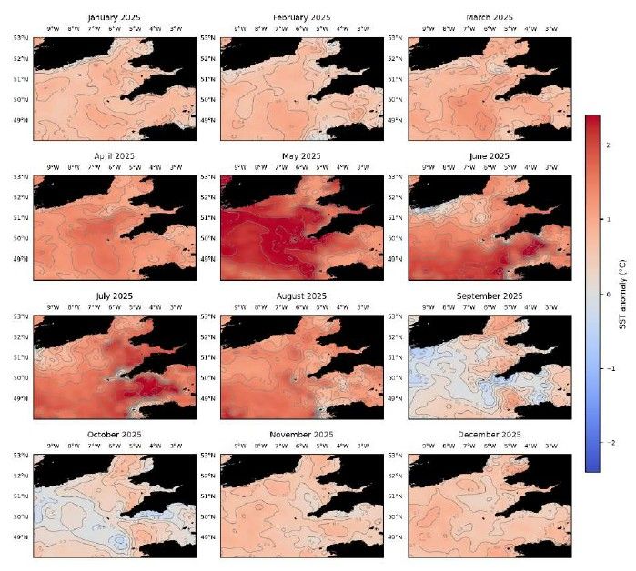 Twelve monthly maps of the waters around southwest England in 2025, with most months shaded red for warmer than average sea-surface temperatures