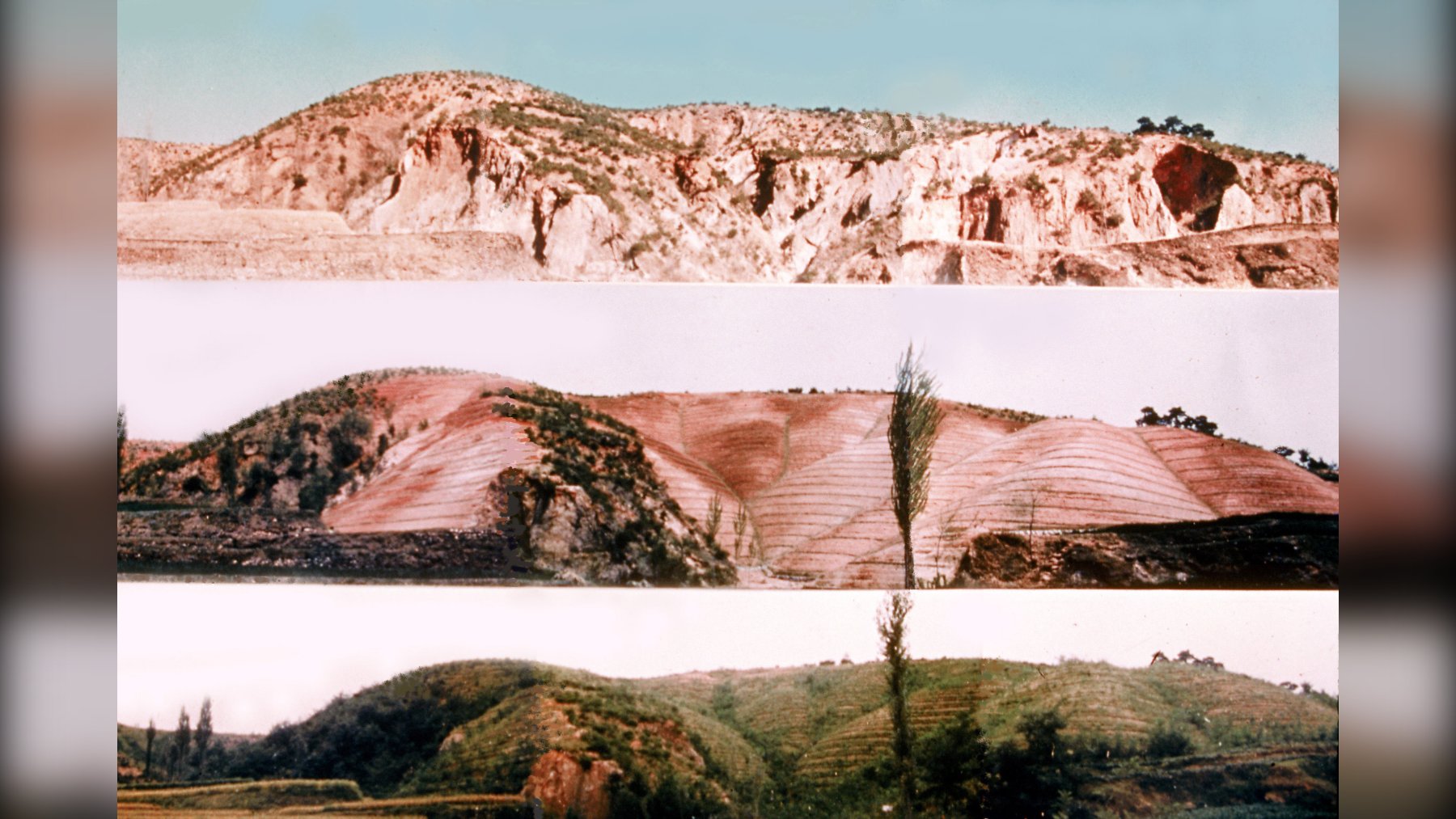 Three archive photos showing eroded bare hills in Pohang, South Korea, gradually covered by vegetation after reforestation
