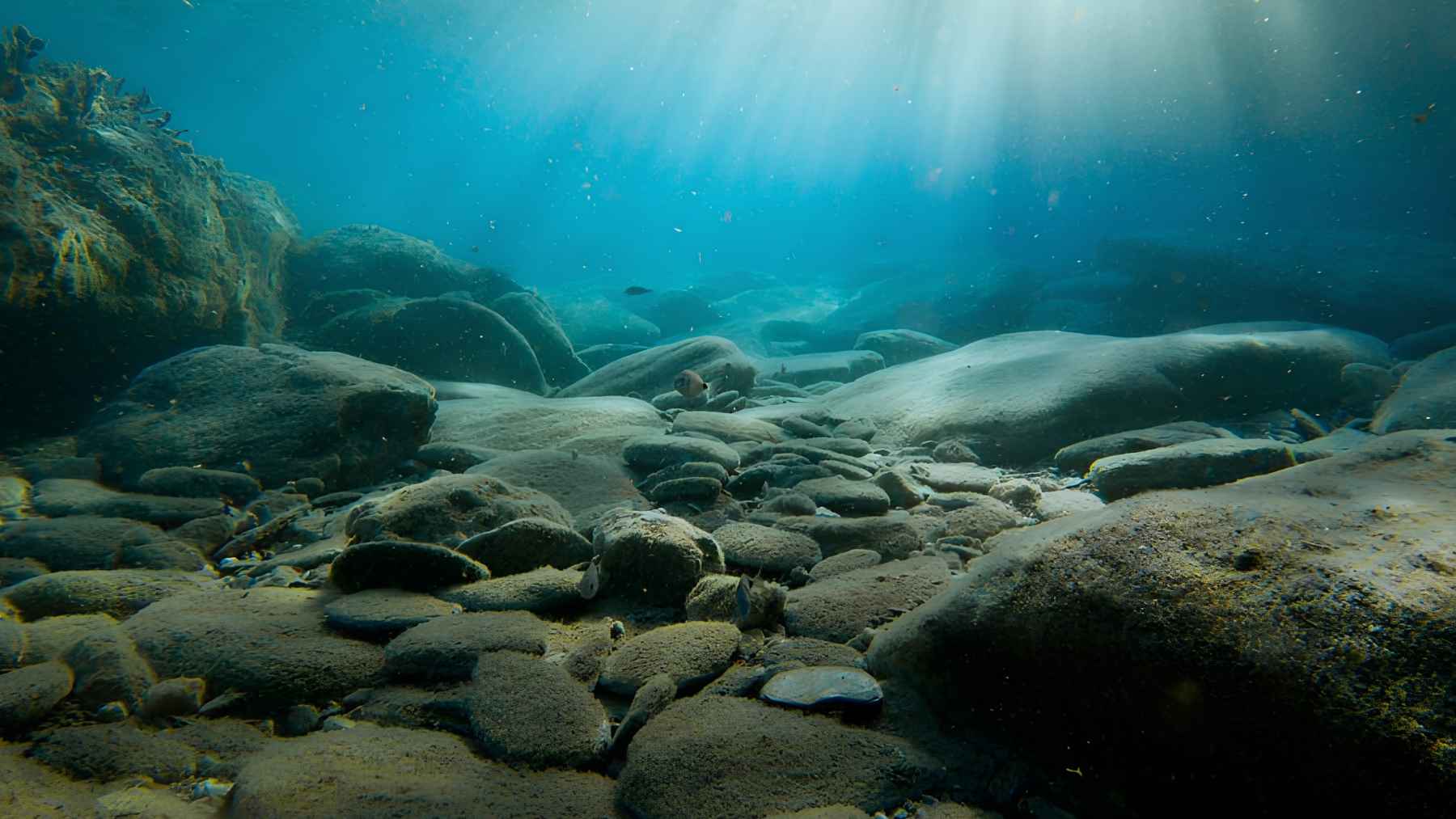 Rocky seafloor illuminated by sunlight filtering through clear ocean water.
