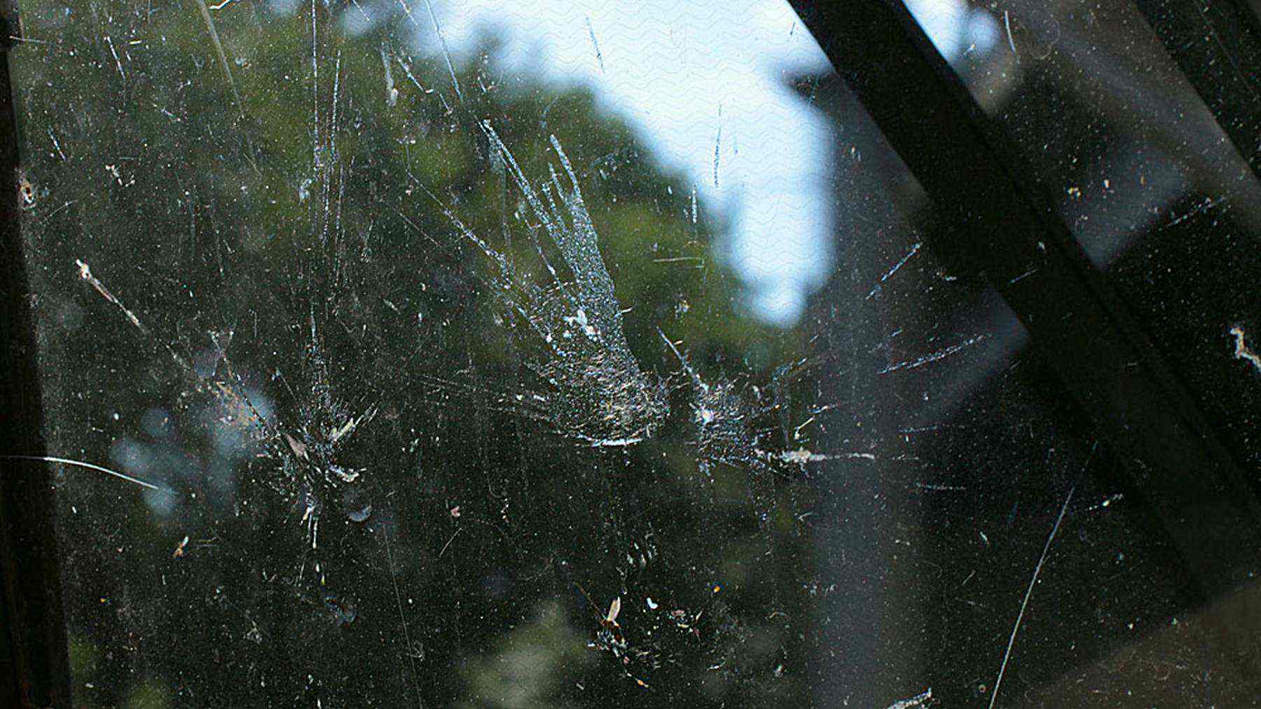 Dead insects and residue coat the surface of a windshield.