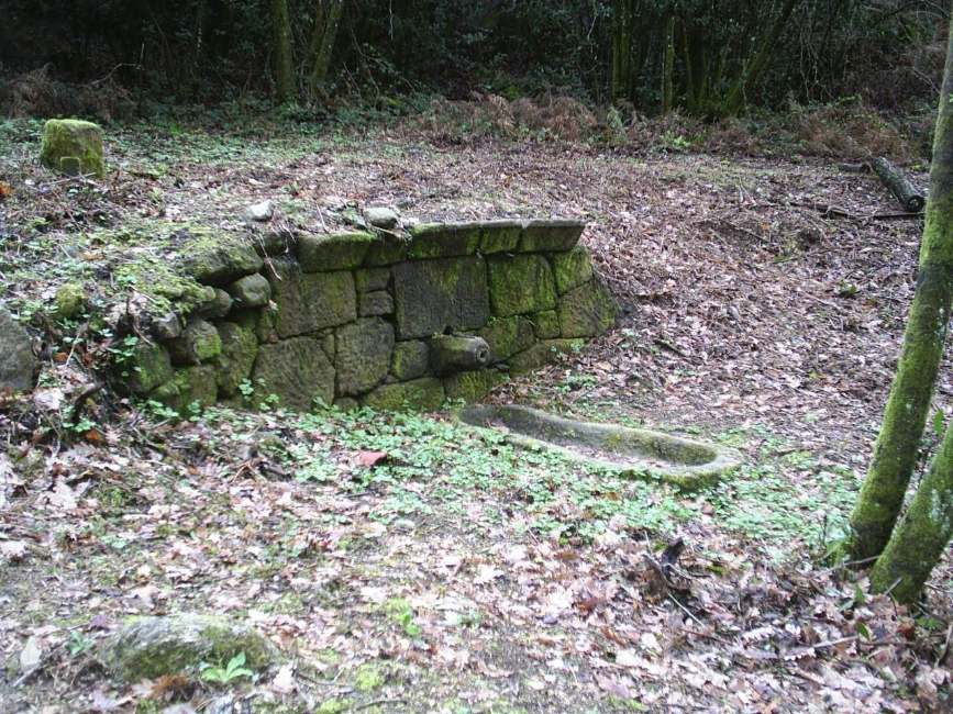 Moss-covered stone walls of an abandoned house among trees and dry leaves