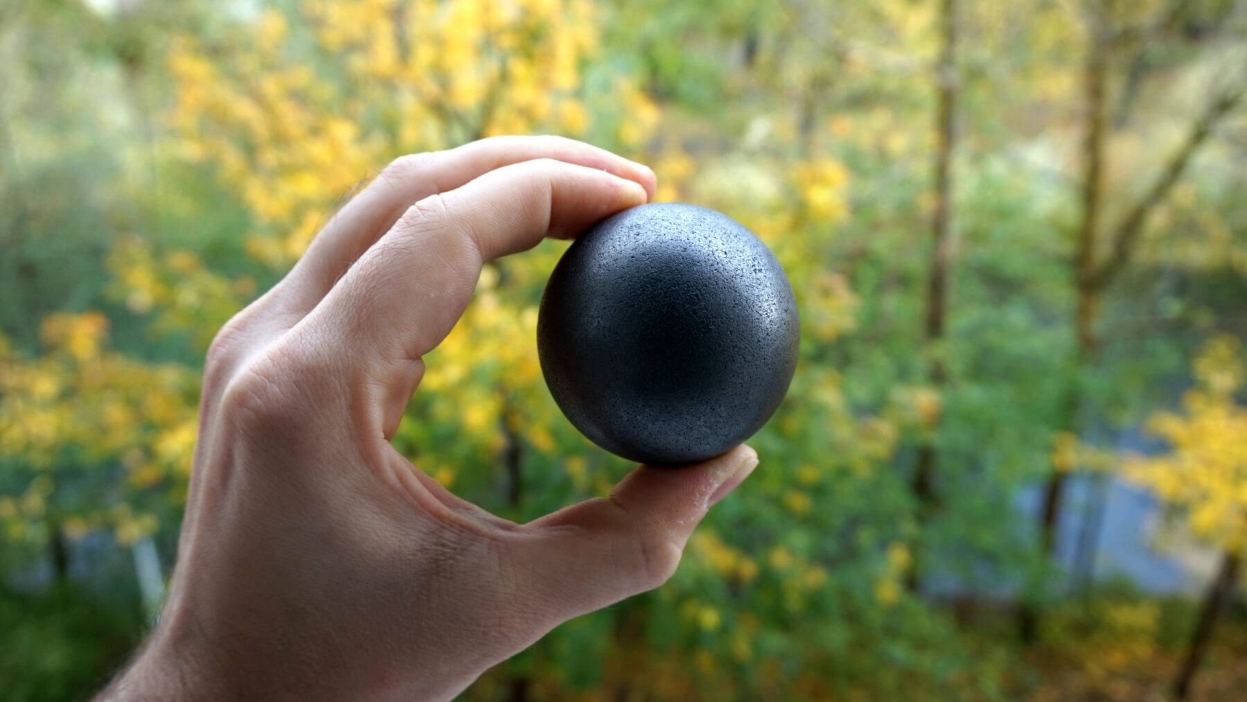 A hand holds a dark, round graphite pebble about the size of a billiard ball in front of a blurred autumn forest.
