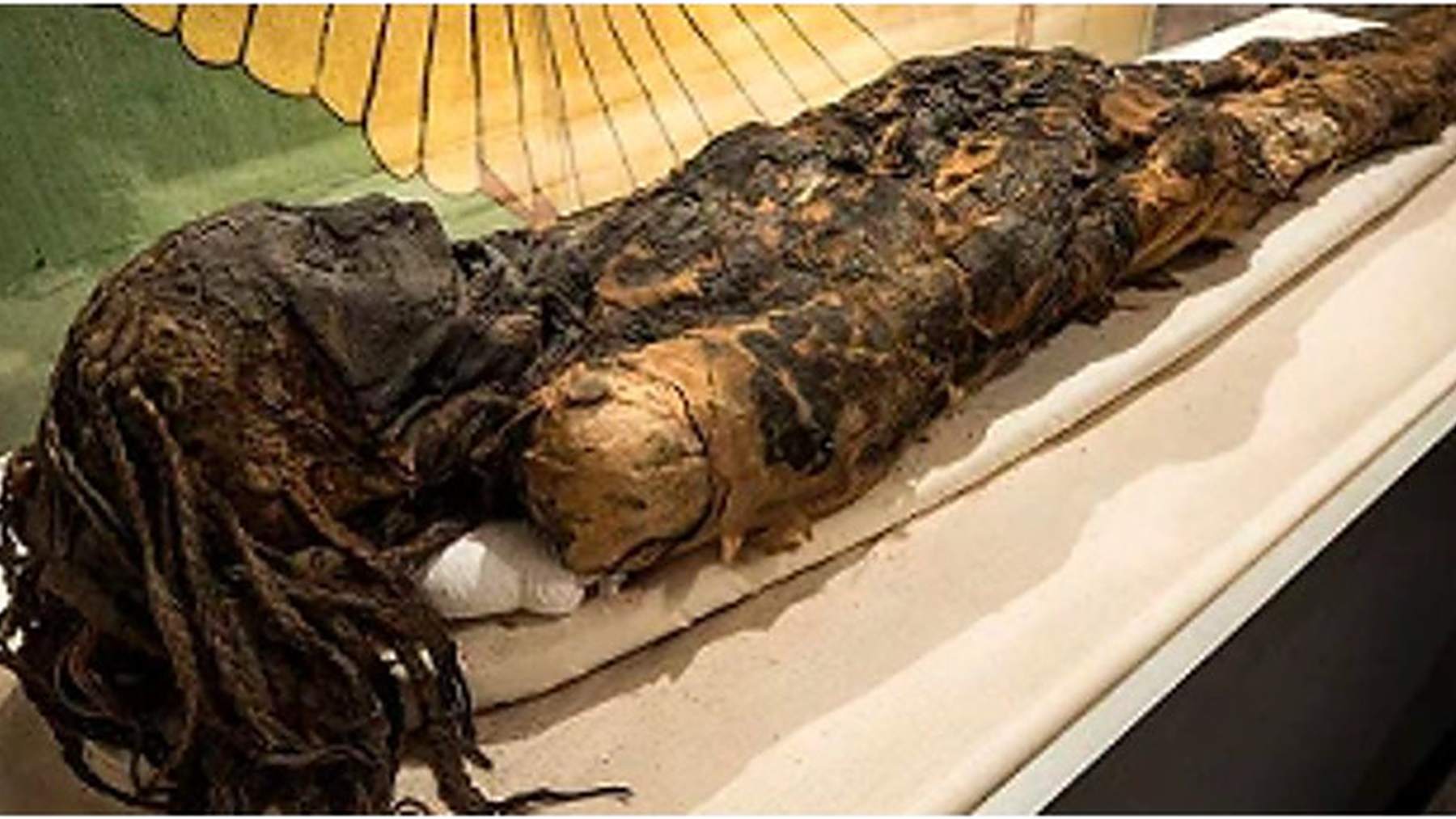 The Braided Lady, an Egyptian mummy with long braided hair, lying in a display case at the Museum of World Treasures in Wichita, Kansas