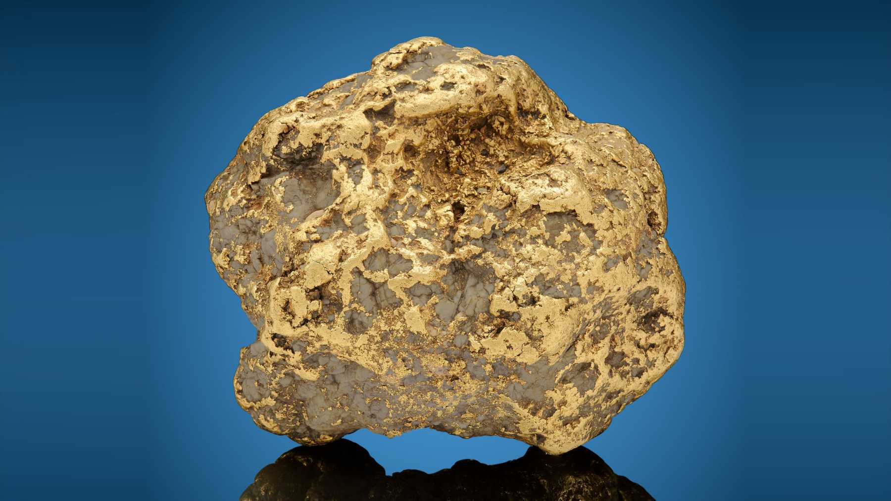The Alaska Centennial Nugget, a mass of gold and white quartz weighing 294.1 troy ounces, on a blue background