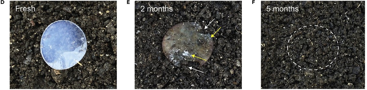 Three soil photos of a chitosan electrolyte disc when fresh, partly decomposed after 2 months and gone after 5 months