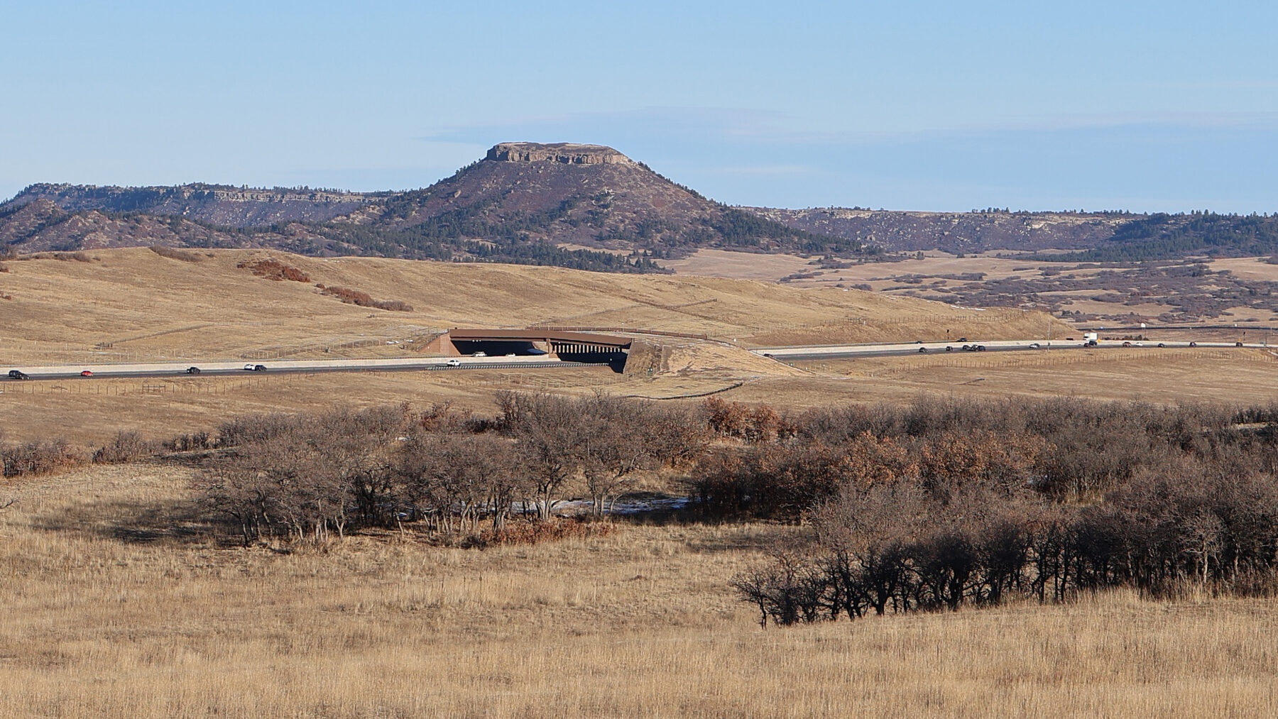 The wildlife overpass crossing I-25 near Greenland, Colorado, with Larkspur Butte and a long ridge rising behind it