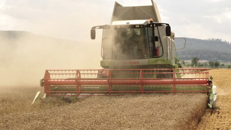 combine wheat harvest eldagsen germany