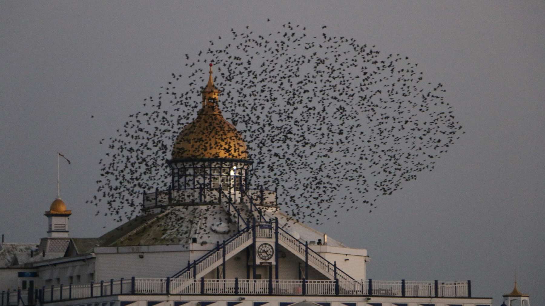 A dense cloud of starlings swirls in a gray sky above the domed roof of Eastbourne Pier in England