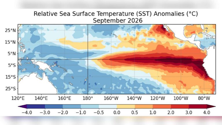 el nino pacific sst anomalies september 2026