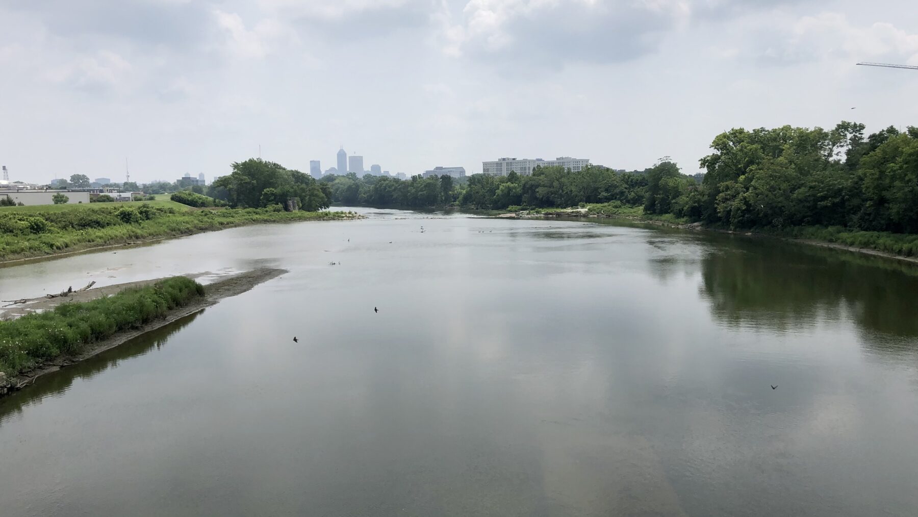 Wide, calm stretch of the White River in Indianapolis seen from the West 16th Street bridge, with green banks, a sandbar on the left and the downtown skyline on the horizon.