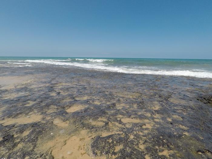 Dark peat reef exposed by the tide on a beach in the Bazaruto Archipelago, Mozambique