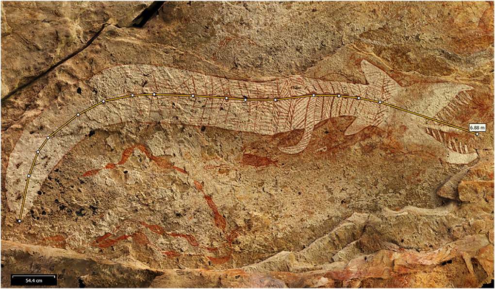 Close-up of the AW5 Rainbow Serpent at Awunbarna with a measuring line along its body reading 6.88 m