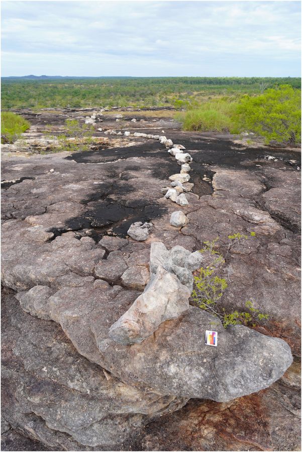 Rainbow Serpent stone arrangement at Awunbarna, a winding line of placed stones leading to a large head-like rock