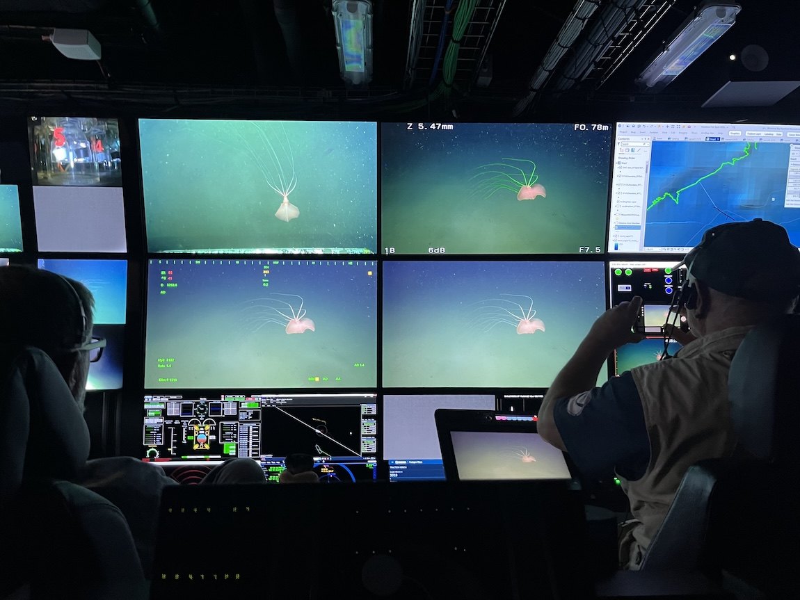 Researchers in the control room of R/V David Packard watching a bigfin squid on several video screens