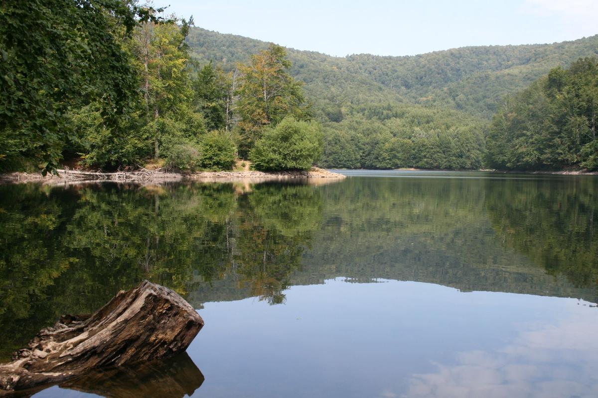 A weathered tree trunk lying in the calm water of Morské Oko with forested hills reflected behind it