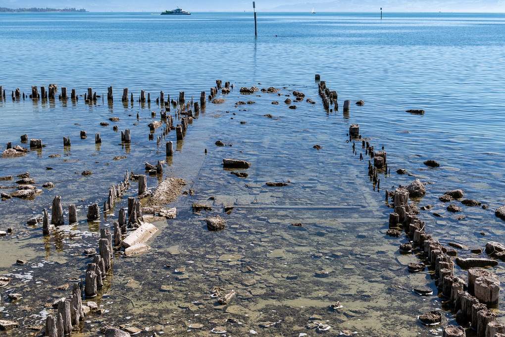 Rows of old wooden piles exposed in shallow water off Friedrichshafen Castle on Lake Constance