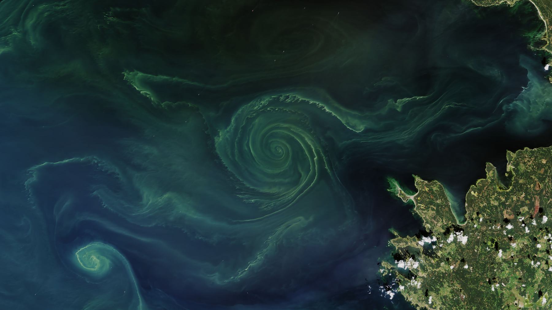 Green swirl of a phytoplankton bloom in the Gulf of Finland, Baltic Sea, seen by Landsat 8 on July 18, 2018