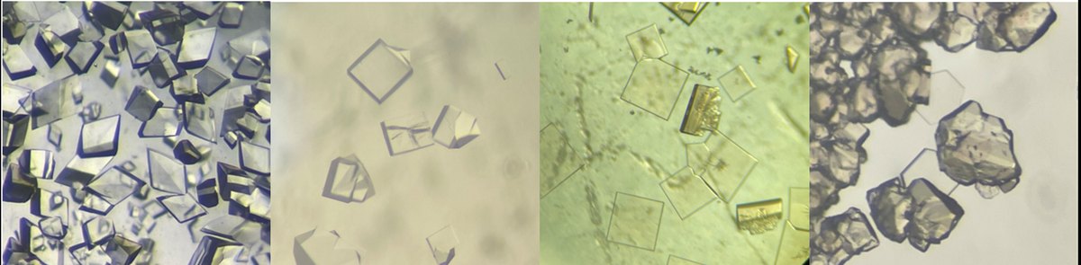 Four microscope views of crystals in the precipitates from the Oregon State zirconium and hafnium separation