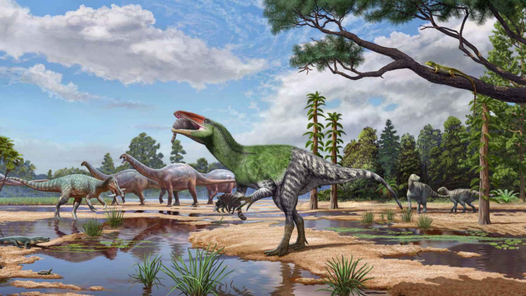 London’s Natural History Museum kept a skull fragment bought in 1924 in a drawer for nearly 100 years, and it turns out to be a new dinosaur species, Europe’s first known megaraptoran