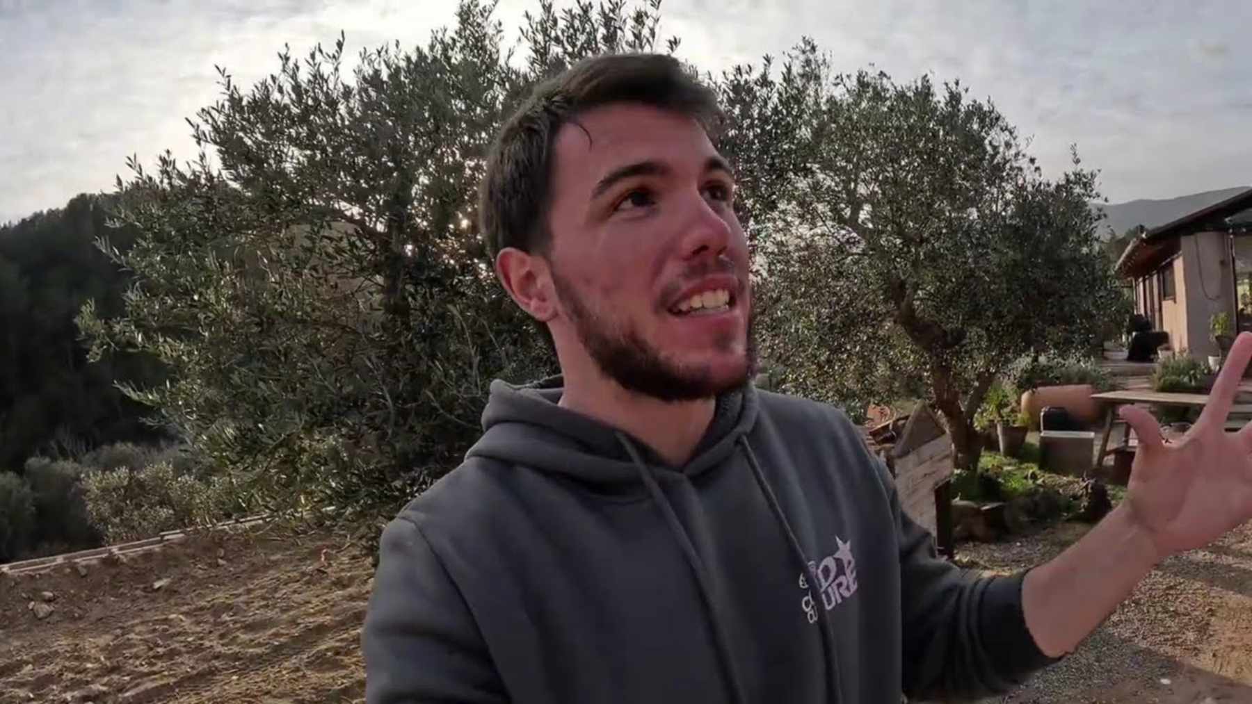 Olive trees at the organic olive oil farm near Tarragona, Spain, in a frame from Arnau Serrado's video