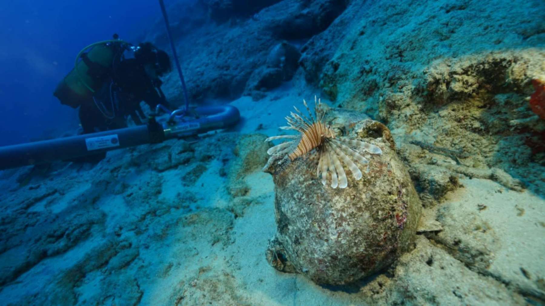 Lionfish resting on an Early Bronze Age amphora at the Kekova wreck, which archaeologists call the oldest known shipwreck, as a diver works a suction hose behind it