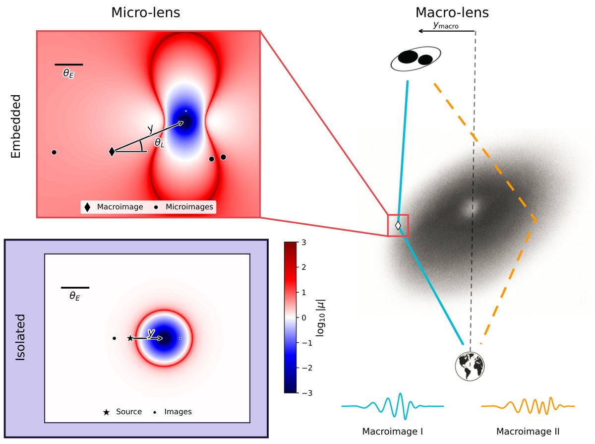 Diagram of a small point lens embedded in a galaxy diffracting and magnifying a gravitational-wave signal from merging black holes on its way to Earth
