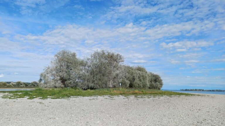 Lake Constance water level so low that a broad gravel bank lies exposed in front of the Liebesinsel in Radolfzell
