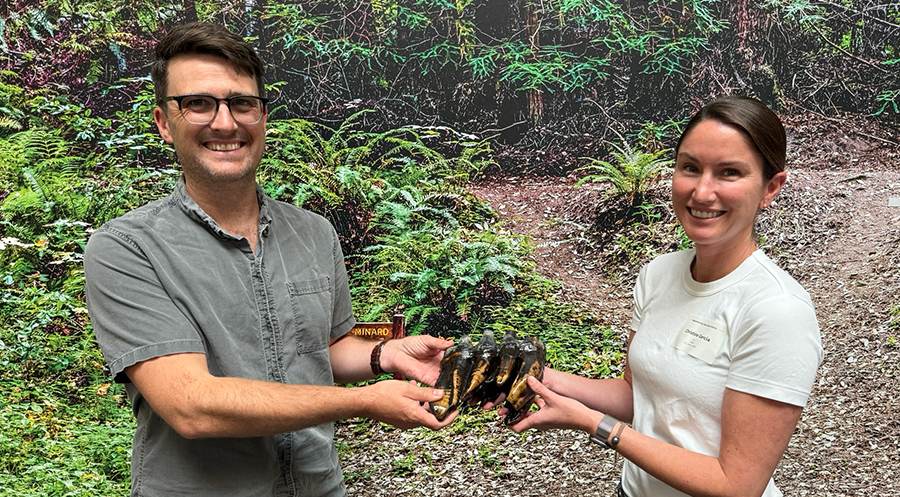 Midpen biologist Matt Sharp Chaney and Stanford curator Christine Garcia holding the Pacific mastodon molar