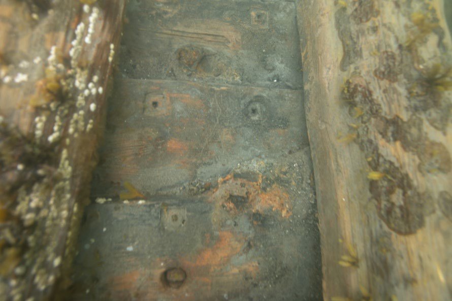 Underwater close-up of Mjønes shipwreck planking with square marks where iron rivets were removed