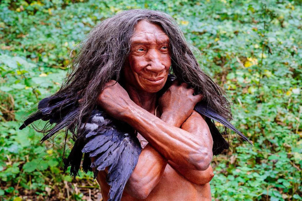 Life-size reconstruction of a Neanderthal woman with long dark hair and arms crossed, standing among green plants