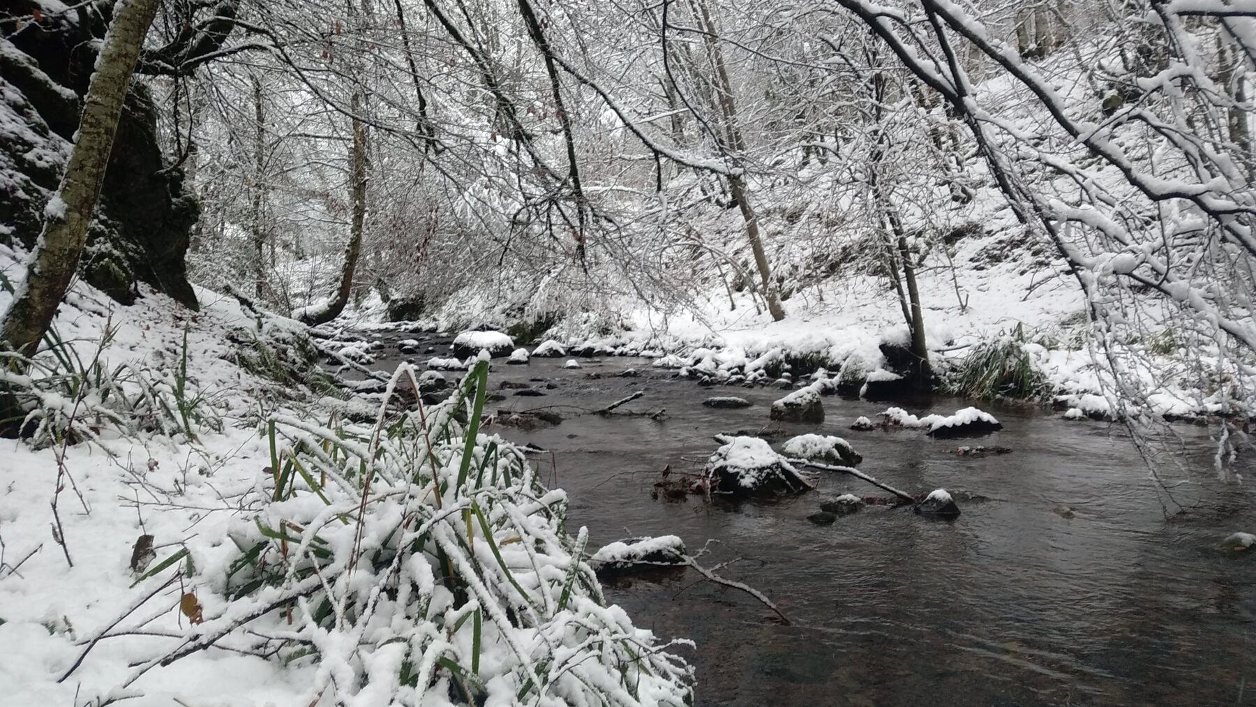 A narrow river flowing between snow-covered banks and bare trees in a wooded valley