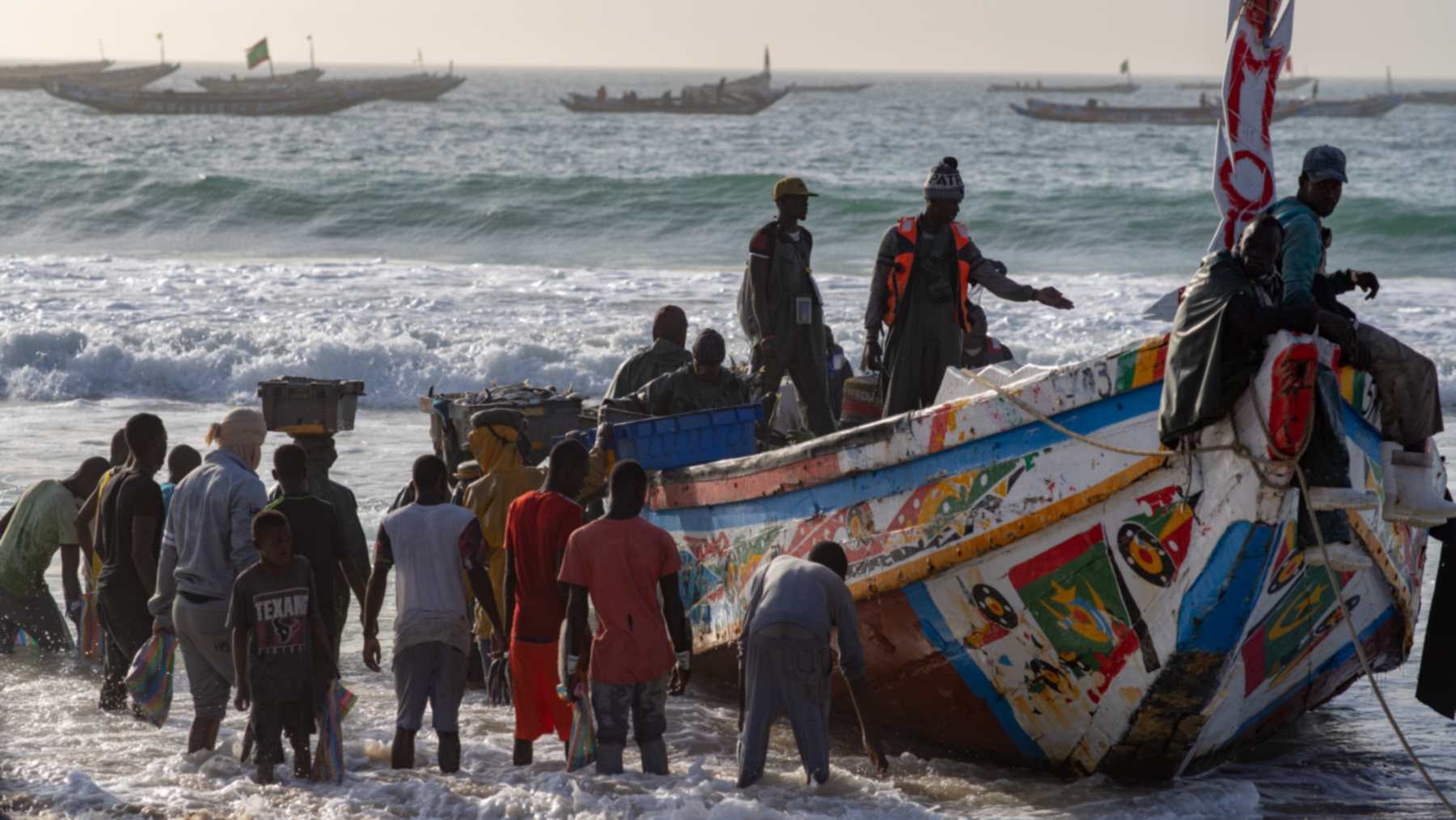 Fishermen unload a painted pirogue carrying sardines on Nouakchott beach, Mauritania, where round sardinella is a key catch