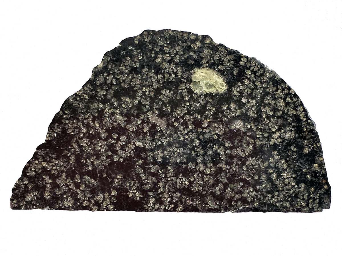 Polished slice of the NWA 12774 meteorite, dark with pale speckles and one pale green olivine crystal
