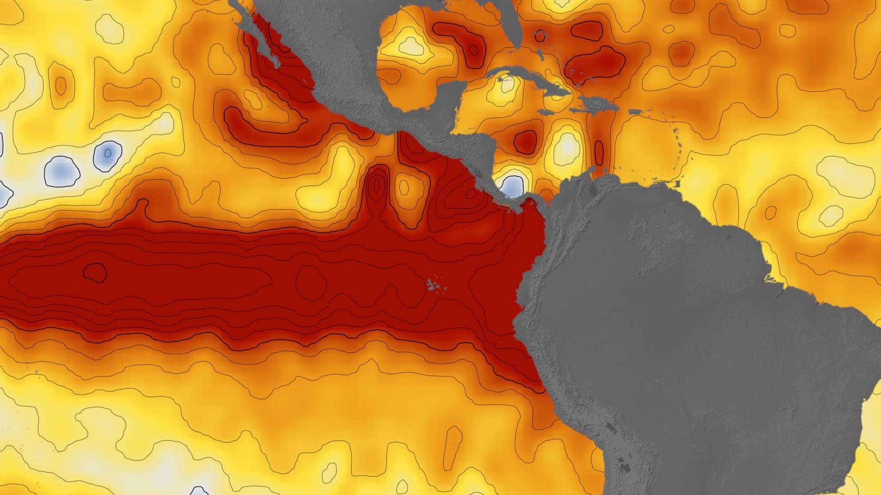 In the eastern Pacific, NASA satellites show seas up to 1.3 feet higher as NOAA gives the strongest El Niño since 1950 an 83 percent chance for October to December, and equatorial waters turn bluer