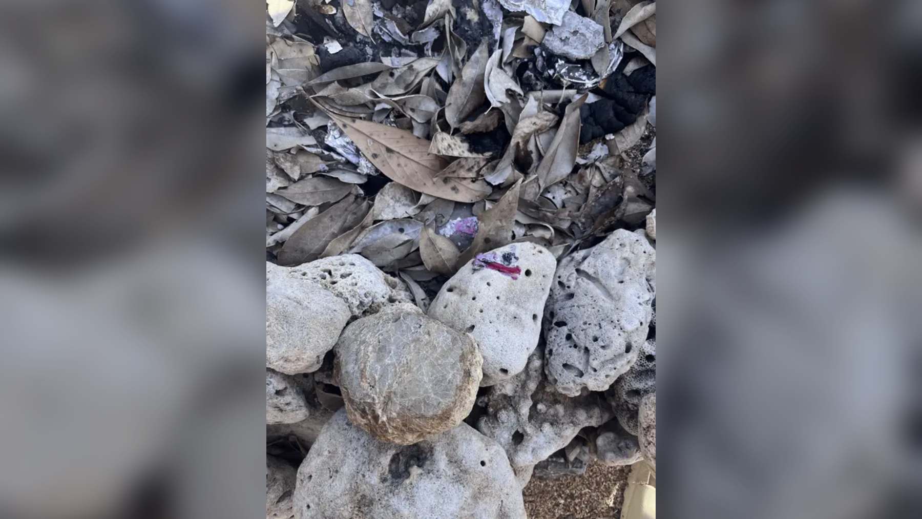 Plasticoral fragment at the bottom of a beach bonfire on Sosu Beach, Okinawa