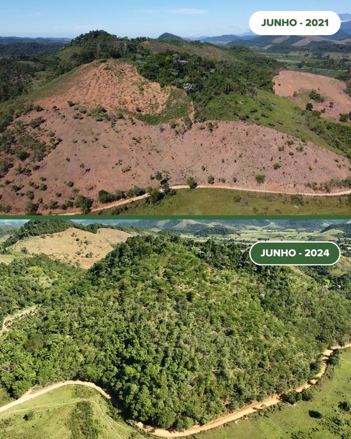 Aerial views of the same hillside at the Guapiaçu Ecological Reserve, bare pasture in June 2021 and covered in young forest in June 2024