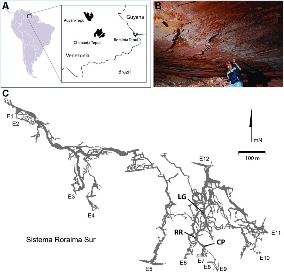 Location of Roraima Tepui, a caver pointing at white microbial colonies on a pink quartzite ceiling, and a map of the Roraima Sur cave system with three sampling sites