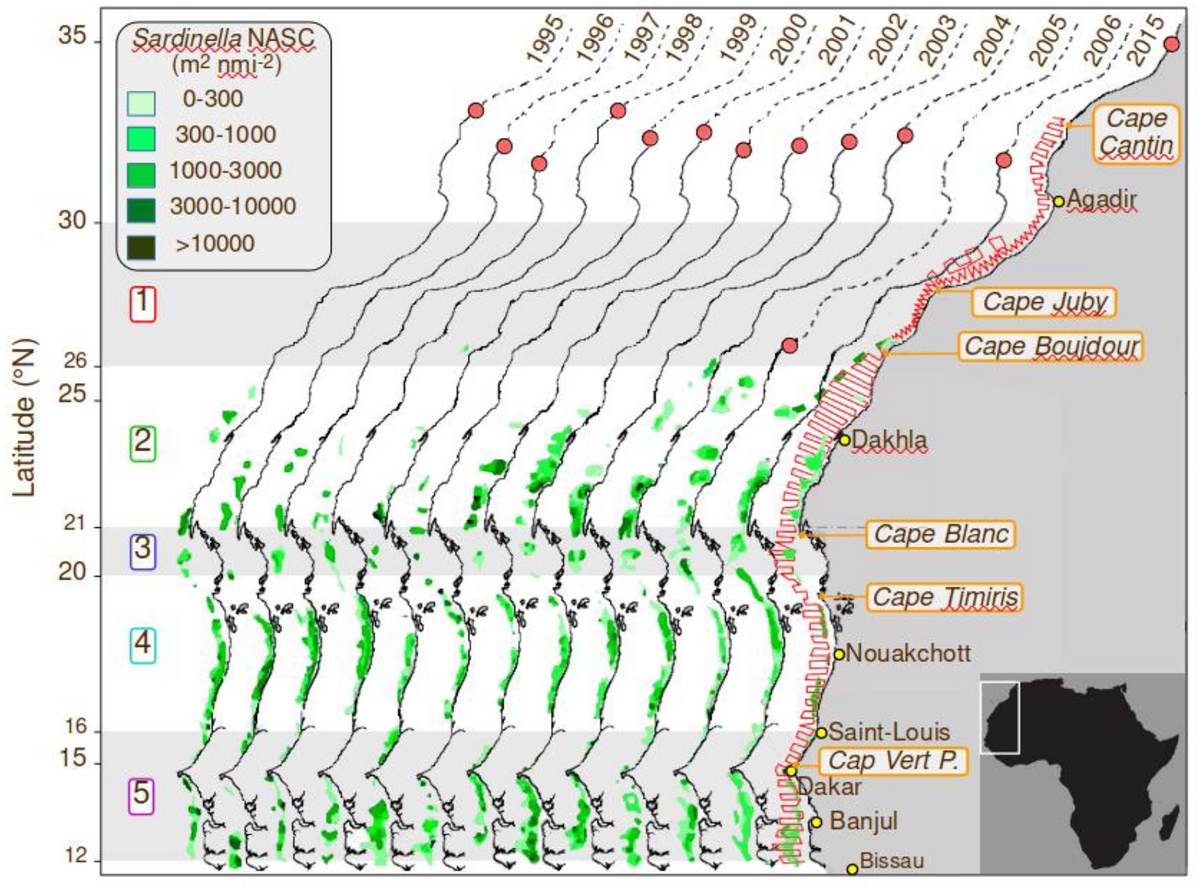 Yearly maps of round sardinella and Madeiran sardinella echoes along the West African coast from 1995 to 2015
