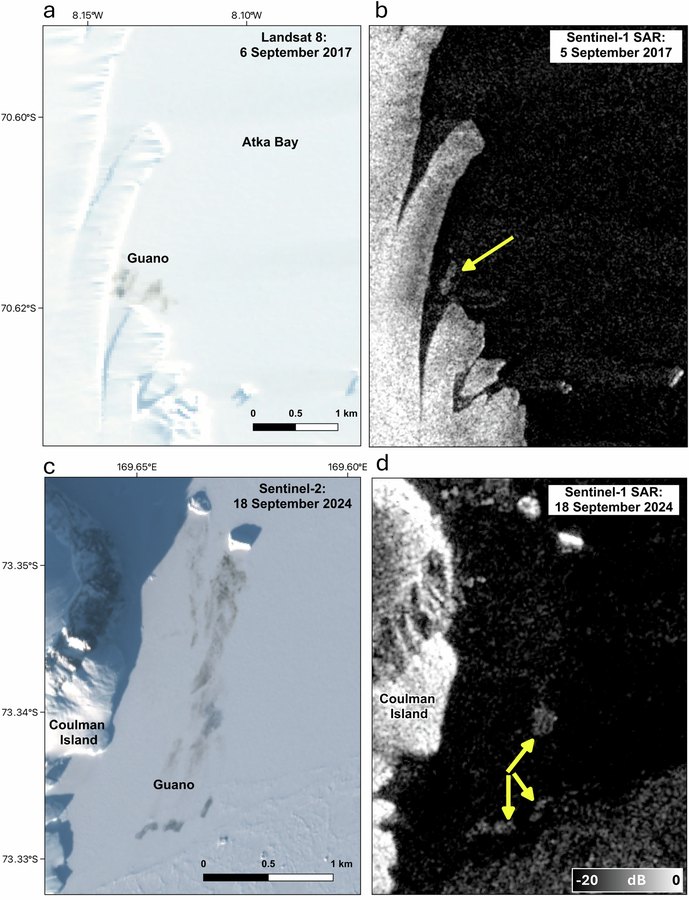 Optical and Sentinel-1 radar images of emperor penguin colonies at Atka Bay and Coulman Island side by side