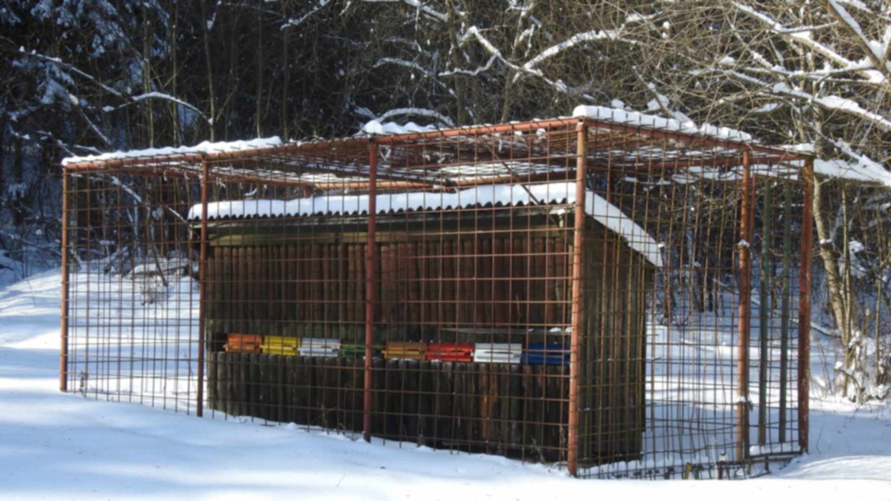 Colorful beehives inside a wooden shelter enclosed by a metal mesh cage in the snow, one alternative to beehives behind electric fences in Slovakia